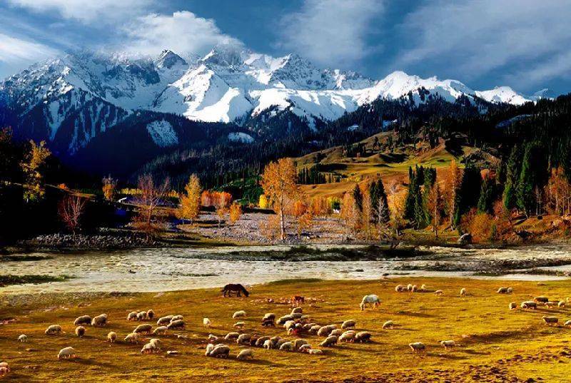 新疆,友情与家的温暖甜蜜日常