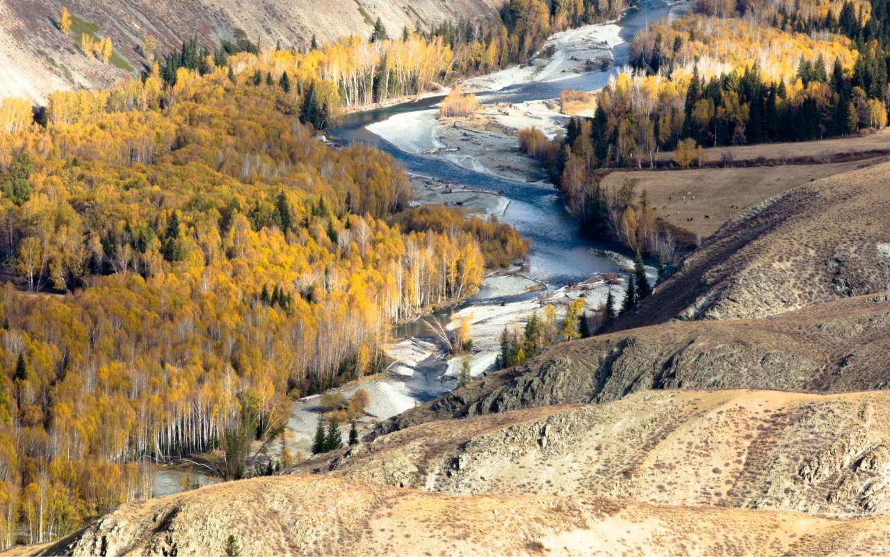 新疆,友情与家的温暖甜蜜日常