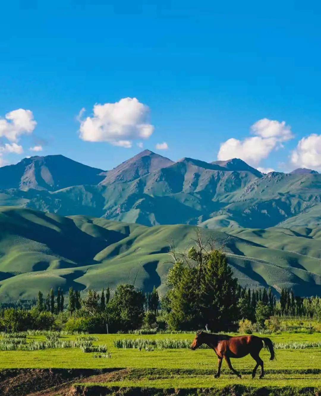 乌鲁木齐,探寻小巷深处的新疆风情宝藏