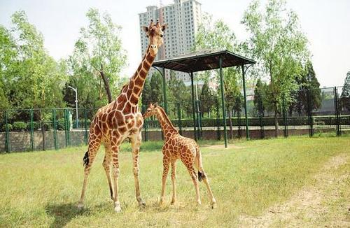 千年古都太原,沧桑与辉煌的岁月印记